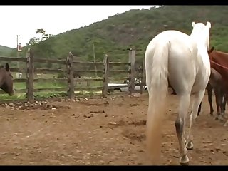 Lupe Vs Stallion Scene 2