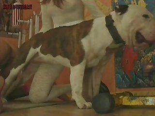 Teenies Pitbull 009
