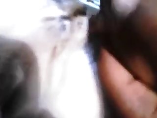 Un Autre Homme Mettait Des Liens En Cuir Sur Ses Poignets Et Chevilles Et Un Épais Collier De Chien Autour Du Cou. Une Fois Nue