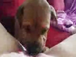 Putain Les Gars Ça C'était Génial