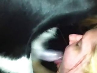 Désolé Salope Adolescente A Dit Le Propriétaire Du Chien