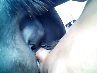 Mares Are My Favorite