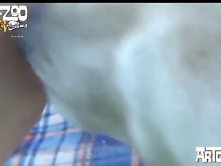 Movies Film