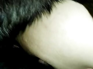 Double Penetration By 2 Dogs