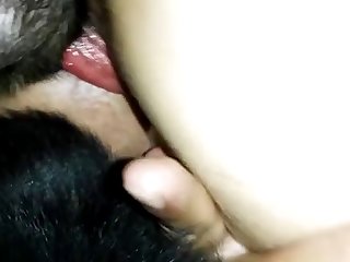 Double Penetration By 2 Dogs