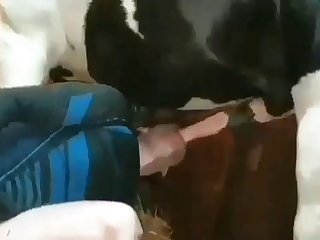 Insane Horse Deepthroat