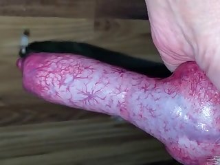 Mature Woman Handjob Dog Drips Cum