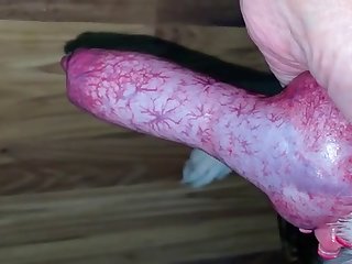 Mature Woman Handjob Dog Drips Cum