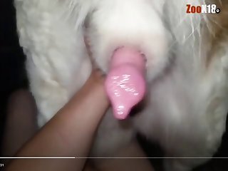 Girl With Her Big Horny Boy