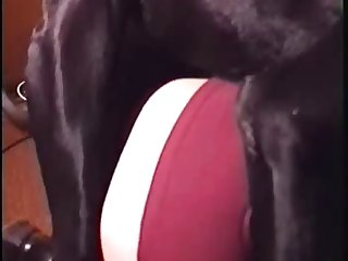 Leaked Iphone Porn