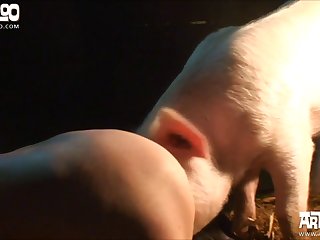 Porno De Zoofilia