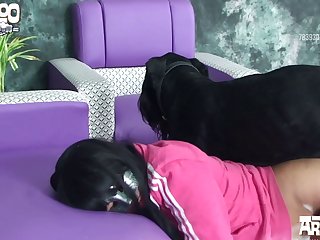 Dog Anime Porn