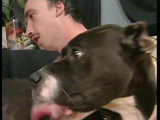 Girl Fucks Horse Porn