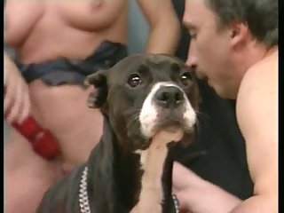 Girl Fucks Horse Porn