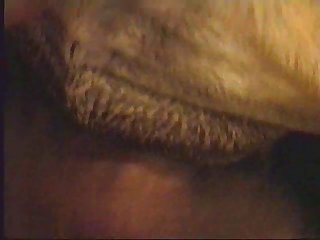 Girl Jerking Off Dog