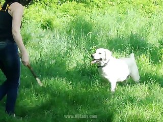 Is Watching Bestiality Porn Online Now