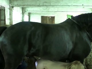 Bestiality Dildo Porn