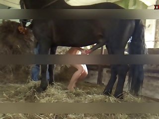 My Slutty Bestiality Porn