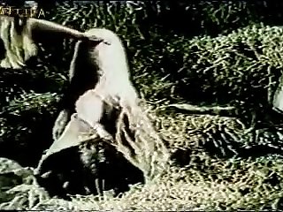 Bestiality Porn 3d Xxx Sex Download