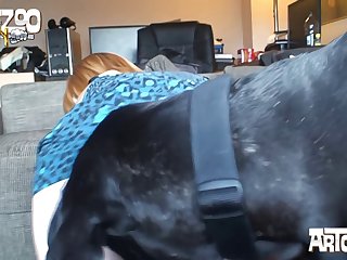Jennifer Toth Animal Porn
