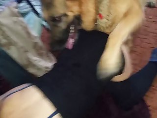 Porn Movies With Animal