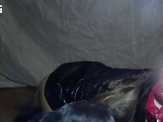 Female Animal Sex Porn