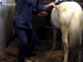 3d Animal Anal Porn