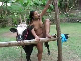 Porn Animal Taboo
