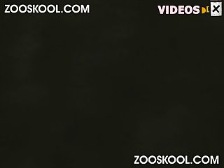 Zoofilia News
