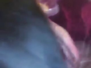 Cachorra Zoofilia