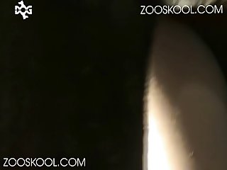 Porno Zoofilia Relato