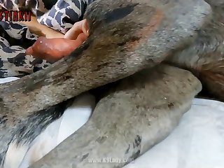 Zoofilia Videos Nuevos 2023