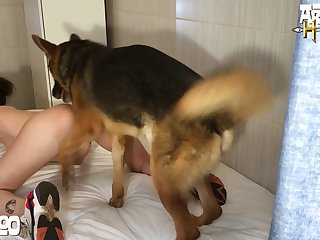 Zoofilia De Mujer Con Caballo