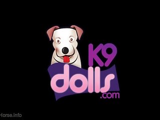 Zoofilia Com Pitbull