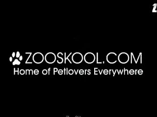 Xxx Relatos De Zoofilia