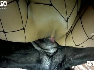 Xxx Zoofilia Mono