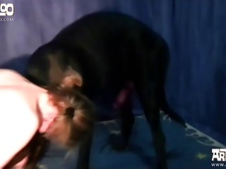 Zoofilia Hd Porno