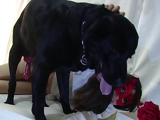 Videos Porno Anal Zoofilia