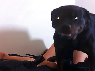 Videos Zoofilia Hombre Con Yegua