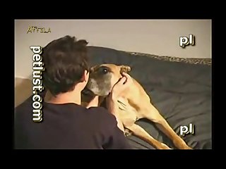 Zoofilia Xxx Xvideos