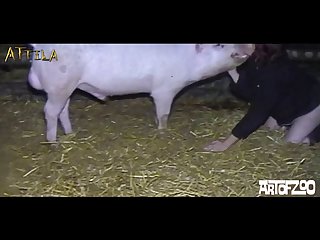Xvideo Zoofilia Hentai