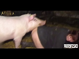Xvideo Zoofilia Hentai