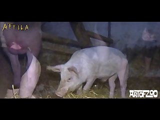 Xvideo Zoofilia Hentai
