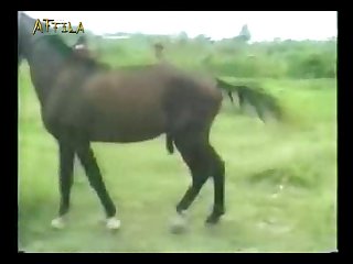 Zoofilia X.com
