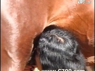 Extreme Organism Porn