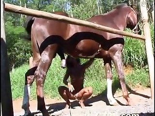 Extreme Squirting Compilation Porn