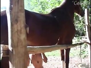 Asian Extreme Zoo Porn