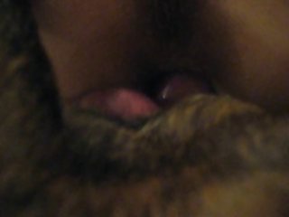 Sucking Cats Dick