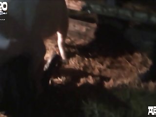 Extreme Ball Pulling Porn