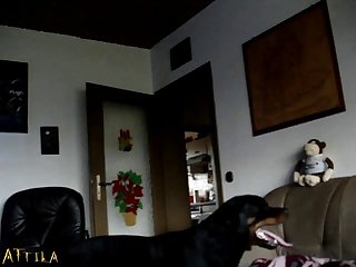 Carly Rae Summers Reacts To Extreme Anal Orgasms Honest Porn Reactions Hpr08